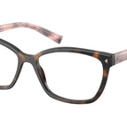 53-145-16 / 23A1O1-Mauve Tortoise