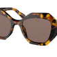 Prada PR16WSF Irregular Sunglasses  VAU05C-Honey Tortoise 53-145-18 - Color Map Tortoise