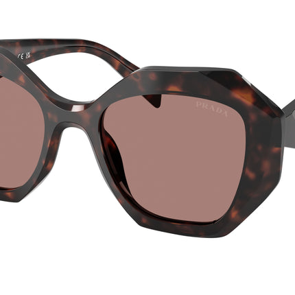 Prada PR16WS Irregular Sunglasses  17N60B-Root Tortoise 53-145-20 - Color Map Tortoise