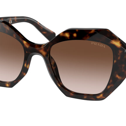 Prada PR16WS Irregular Sunglasses  2AU6S1-Tortoise 53-145-20 - Color Map Tortoise
