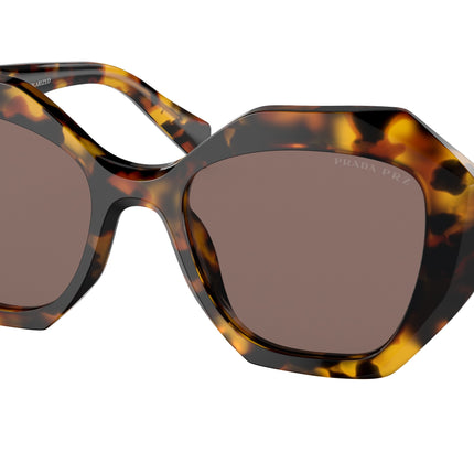 Prada PR16WS Irregular Sunglasses  VAU05C-Honey Tortoise 53-145-20 - Color Map Tortoise