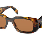 51-145-20 / VAU2Z1-Honey Tortoise