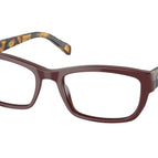 54-135-18 / 13G1O1-Etruscan