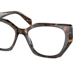 52-145-17 / 2AU1O1-Tortoise