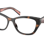 53-140-17 / 23A1O1-Mauve Tortoise