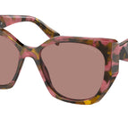 55-145-17 / 18N10D-Tortoise Cognac Begonia