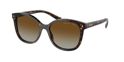 Prada PR22ZSF Square Sunglasses - Lensntrends