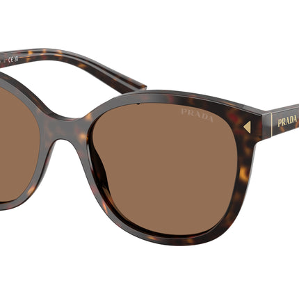 Prada PR22ZS Square Sunglasses  17N06B-Tartaruga Radica 53-145-17 - Color Map Tortoise
