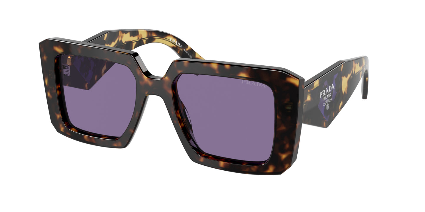 Prada PR23YSF Square Sunglasses  2AU05Q-Tortoise 52-140-19 - Color Map Tortoise