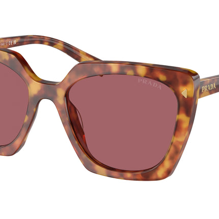Prada PR23ZSF Square Sunglasses  4BW08S-Light Tortoise 55-145-17 - Color Map Tortoise