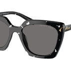 54-145-18 / 15S5Z1-Black Crystal Tortoise - Polarized