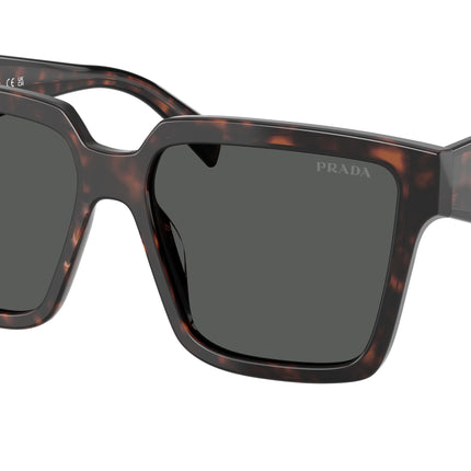 Prada PR24ZSF Square Sunglasses  17N40L-Root Tortoise 57-140-14 - Color Map Tortoise