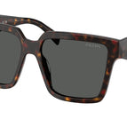 57-140-14 / 17N40L-Root Tortoise