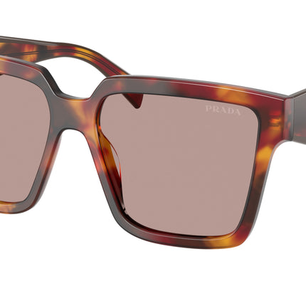 Prada PR24ZS Square Sunglasses  22A20I-Poppy Tortoise 56-140-16 - Color Map Tortoise