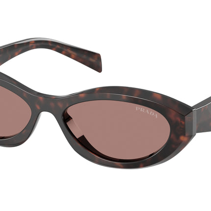 Prada PR26ZS Irregular Sunglasses  17N60B-Root Tortoise 55-145-16 - Color Map Tortoise