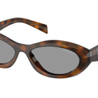 55-145-16 / 20D50Q-Juniper Tortoise