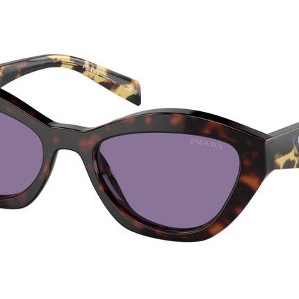 Prada PRA02SF Butterfly Sunglasses  17N50B-Havana 55-140-17 - Color Map Tortoise
