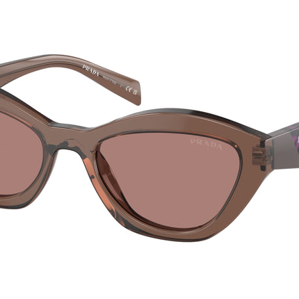 Prada PRA02SF Butterfly Sunglasses  17O60B-Brown Transparent 55-140-17 - Color Map Brown