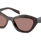 52-140-19 / 17N60B-Root Tortoise