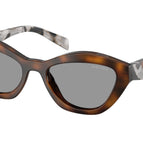52-140-19 / 20D50Q-Juniper Tortoise