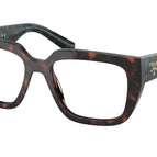 50-140-18 / 18Z1O1-Root Tortoise