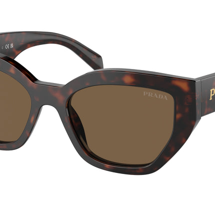 Prada PRA09SF Butterfly Sunglasses  16N5Y1-Briar Tortoise 55-145-16 - Color Map Brown