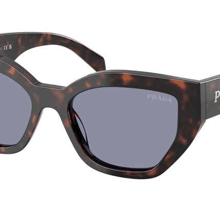 Prada PRA09SF Butterfly Sunglasses  17N03N-Root Tortoise 55-145-16 - Color Map Tortoise