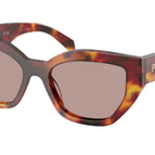 55-145-16 / 22A20I-Poppy Tortoise