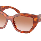 53-145-18 / 11P70E-Cognac Tortoise