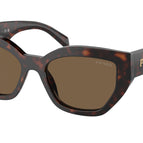 53-145-18 / 16N5Y1-Briar Tortoise