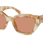 53-145-18 / 19N20D-Desert Tortoise