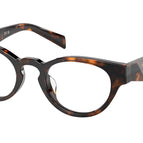 49-145-22 / 14L1O1-Honey Tortoise