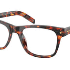 52-145-19 / 14O1O1-Magma Tortoise