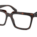 54-145-18 / 17N1O1-Root Tortoise