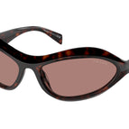 63-125-16 / 17N10D-Root Tortoise