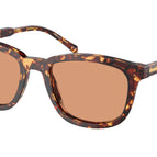 54-145-19 / 14O07V-Magma Tortoise