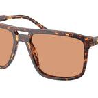 58-145-16 / 14O07V-Magma Tortoise