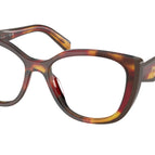 55-140-16 / 22A1O1-Poppy Tortoise/Bordeaux