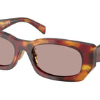 53-140-19 / 22A20I-Poppy Tortoise