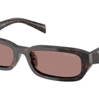 55-145-18 / 17N60B-Root Tortoise