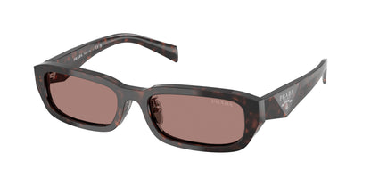 Prada PRB06SF Rectangle Sunglasses  17N60B-Root Tortoise 55-145-18 - Color Map Tortoise