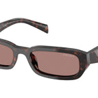 53-145-19 / 17N60B-Root Tortoise