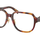 56-140-18 / 22A1O1-Poppy Tortoise/Bordeaux