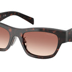 53-145-19 / 17N50L-Root Tortoise