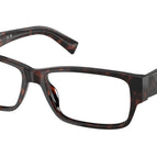 55-145-16 / 17N1O1-Root Havana