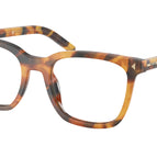 50-145-20 / 29C1O1-Cinnamon Tortoise