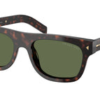 55-145-19 / 17N20G-Root Tortoise - Polarized