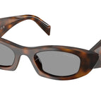 52-145-20 / 20D50Q-Juniper Tortoise