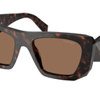 53-145-19 / 17N06B-Root Tortoise