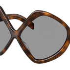 68-125-12 / 20D50Q-Juniper Tortoise